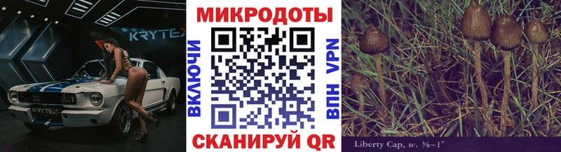 где купить наркотик  Богданович  Галлюциногенные грибы MAGIC MUSHROOMS 